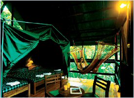 Tent rooms at Almendros y Corales in Costa Rica