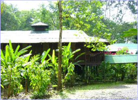 Albergue Selva verde en medio de la Naturaleza