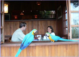 Restaurante del hotel Arenal Lodge