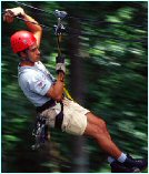 Canopy Tour (tiroleza)