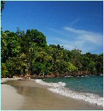 Playas de Manuel Antonio